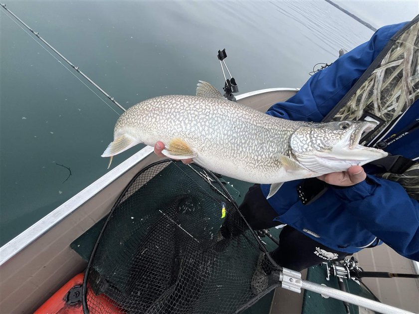 Angler holding a lake trout aboard a boat on Lake Ontario